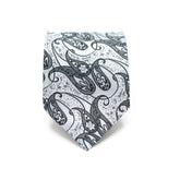 SILVER PAISLEY TIE AND POCKET SQUARE SET